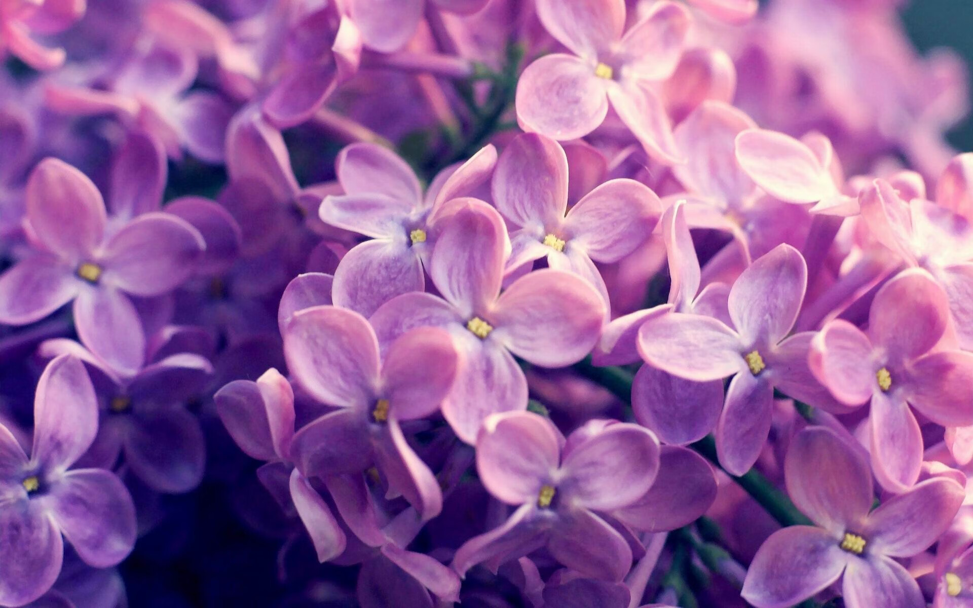 _勇士三分雨席卷全场,战绩不断攀升_,勇士三分集锦