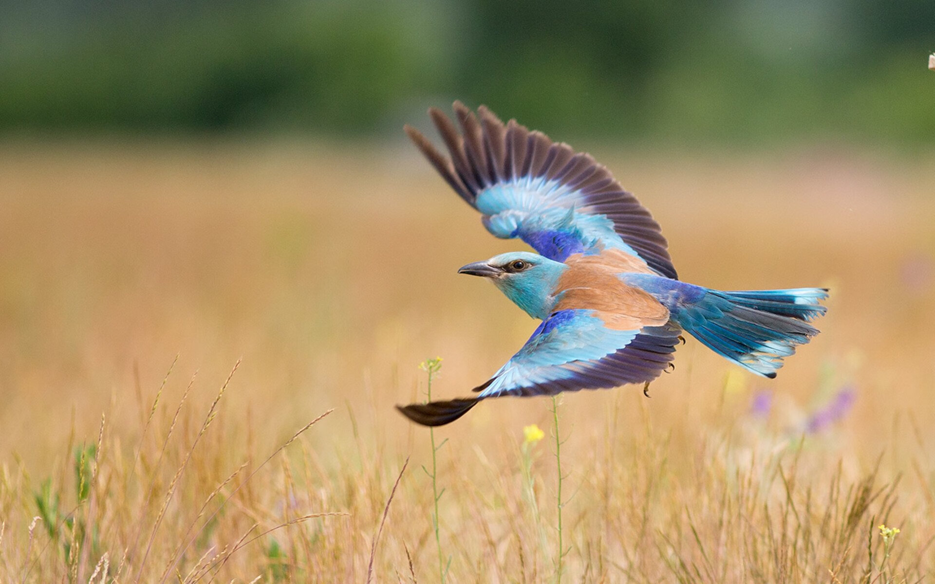 Kaiyun官方登录入口-“足球明星李明西进，开启新一季征程”，李明 足球妻子
