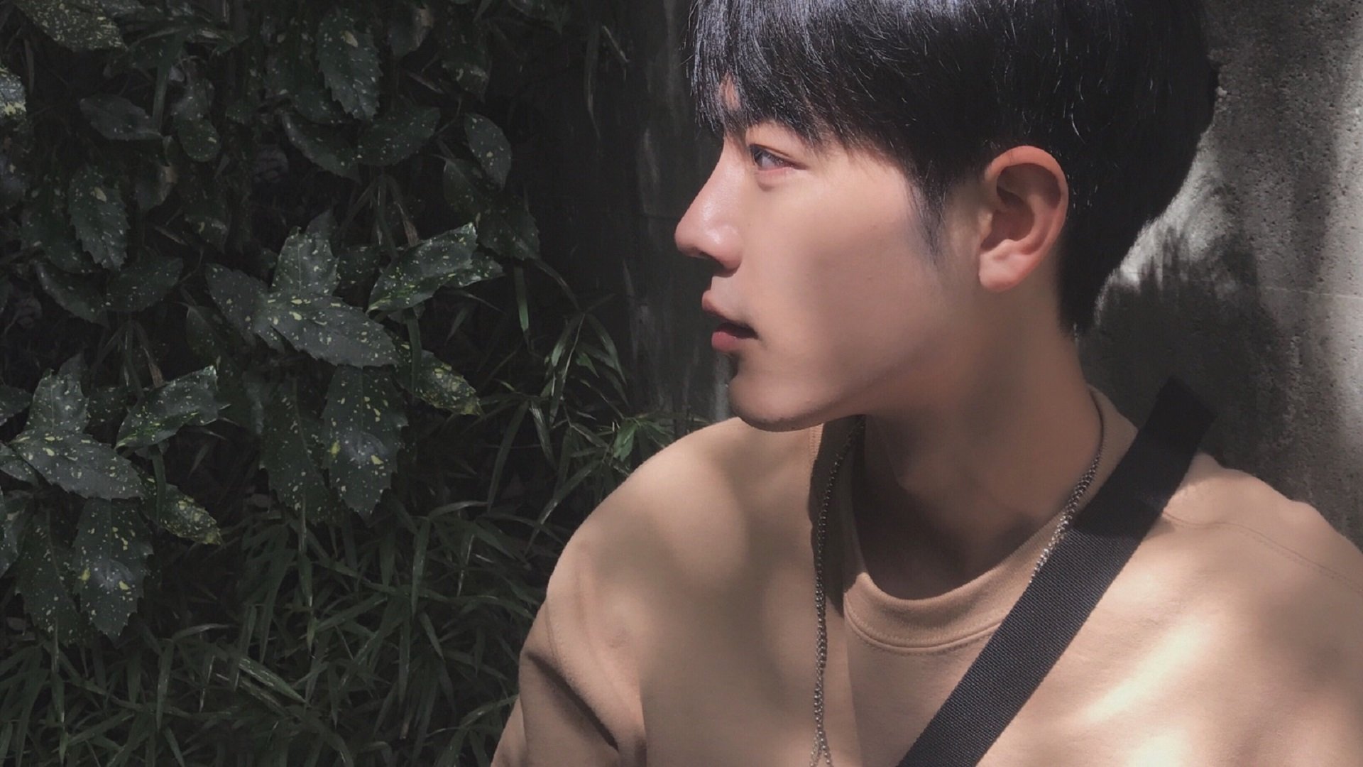 【奥沙利文】长时间比赛中的心理调节技巧揭秘,奥沙利文的技术