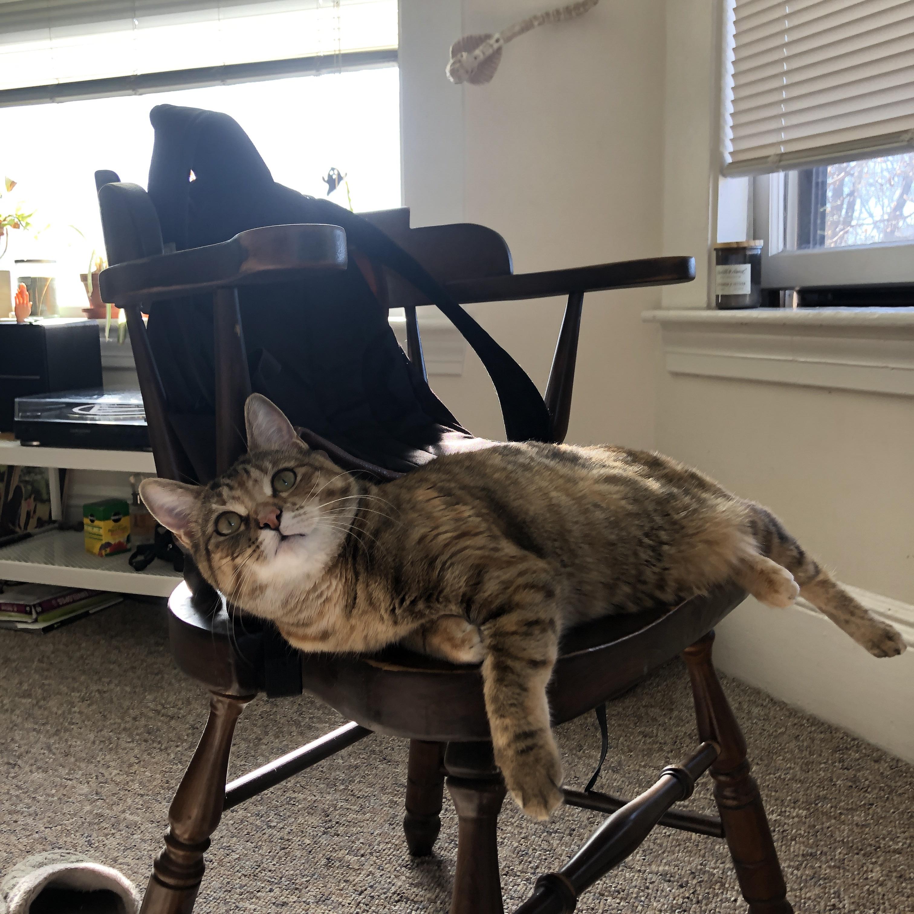 团队协作:北京队助攻达到22次,展现团队篮球魅力!,北京篮球队赞助商