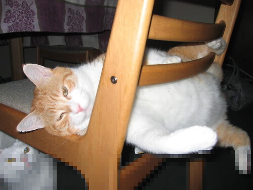 特色沙滩排球国际邀请赛,激情点燃夏日海滨,沙滩排球赛果