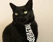 英格兰马术队在巴黎奥运会盛装舞步比赛中取得优异成绩,获得第五名。