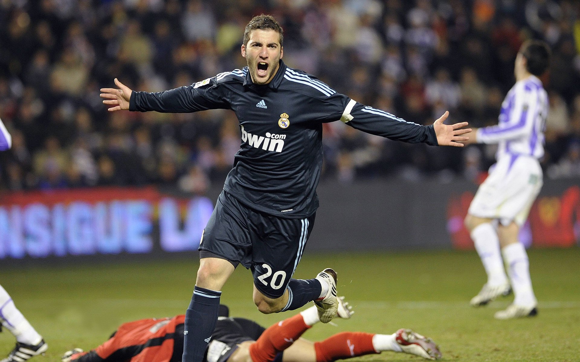 观摩学习:其他运动项目的借鉴经验,运动项目的类型