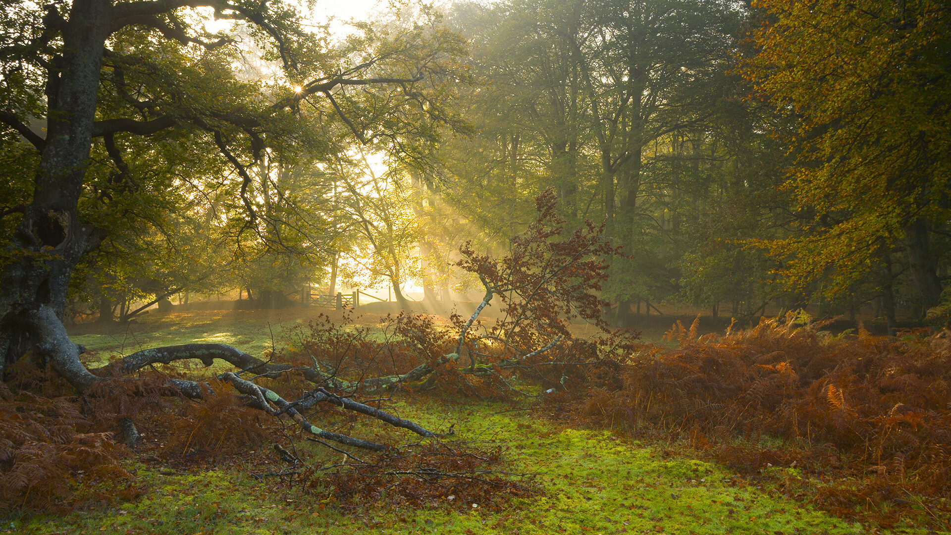 国际足球联赛中球队之间的对抗异常激烈，足球比赛对抗