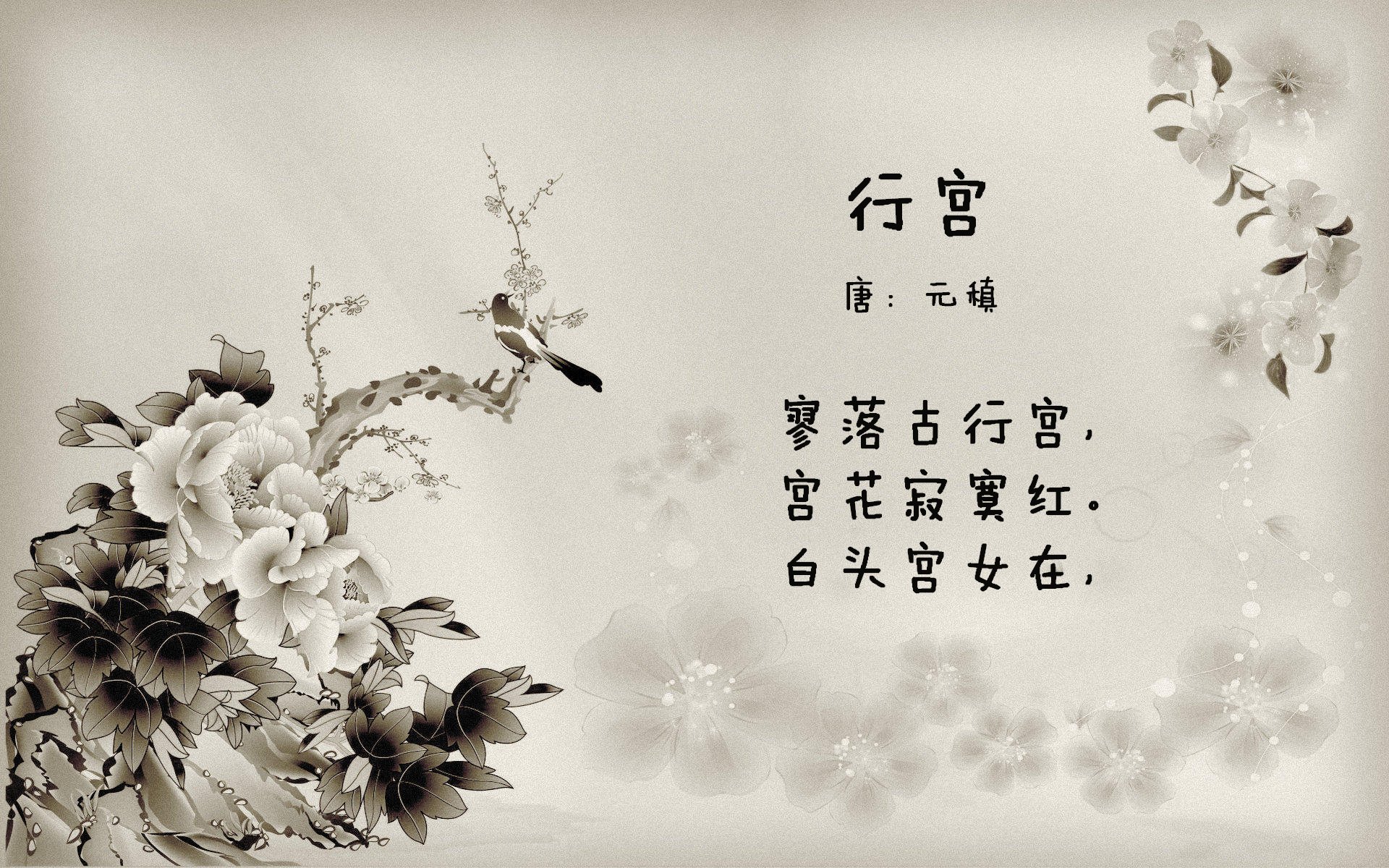 开云体育APP下载-山东泰山主场战胜强敌，山东泰山队重大调整