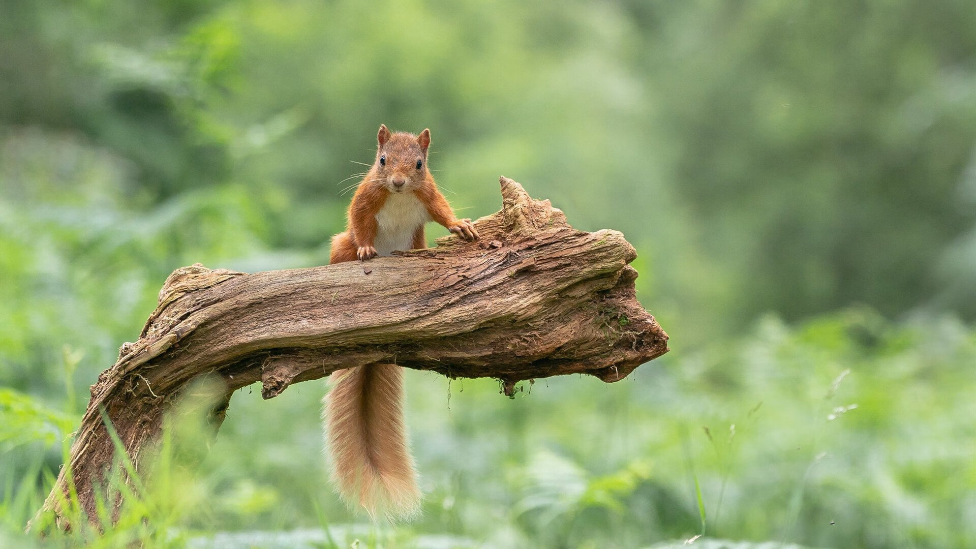 kaiyun官方入口登录-曼城主场被曼联逆转，德比失利，曼城德比对手