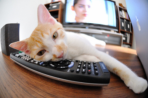 开云·Kaiyun网页版-曼联主场小胜沃特福德，保住前四位置，英超曼联对沃特福德