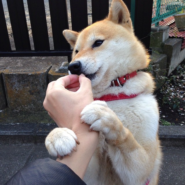 曼城主场小胜富勒姆,迎来赛季首胜,曼城vs富勒姆雨燕直播