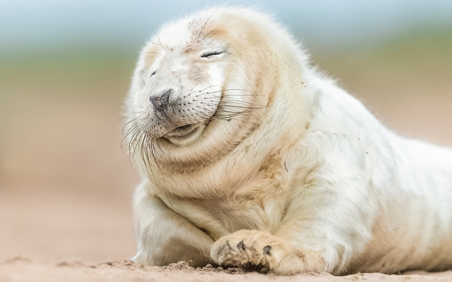 谢菲尔德联反击快速,刀锋战士期待稳定发挥,英国谢菲尔德刀具