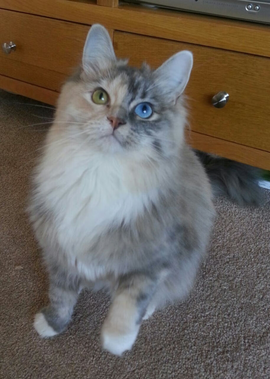 开云入口-迈阿密国际球迷支持力度加大，主场气氛火爆，国际迈阿密足球俱乐部