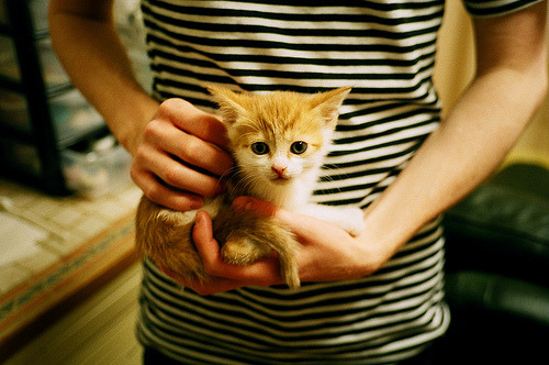 阿尔卑斯人客场击败圣埃蒂安，保持近期不败纪录，阿尔卑斯球场