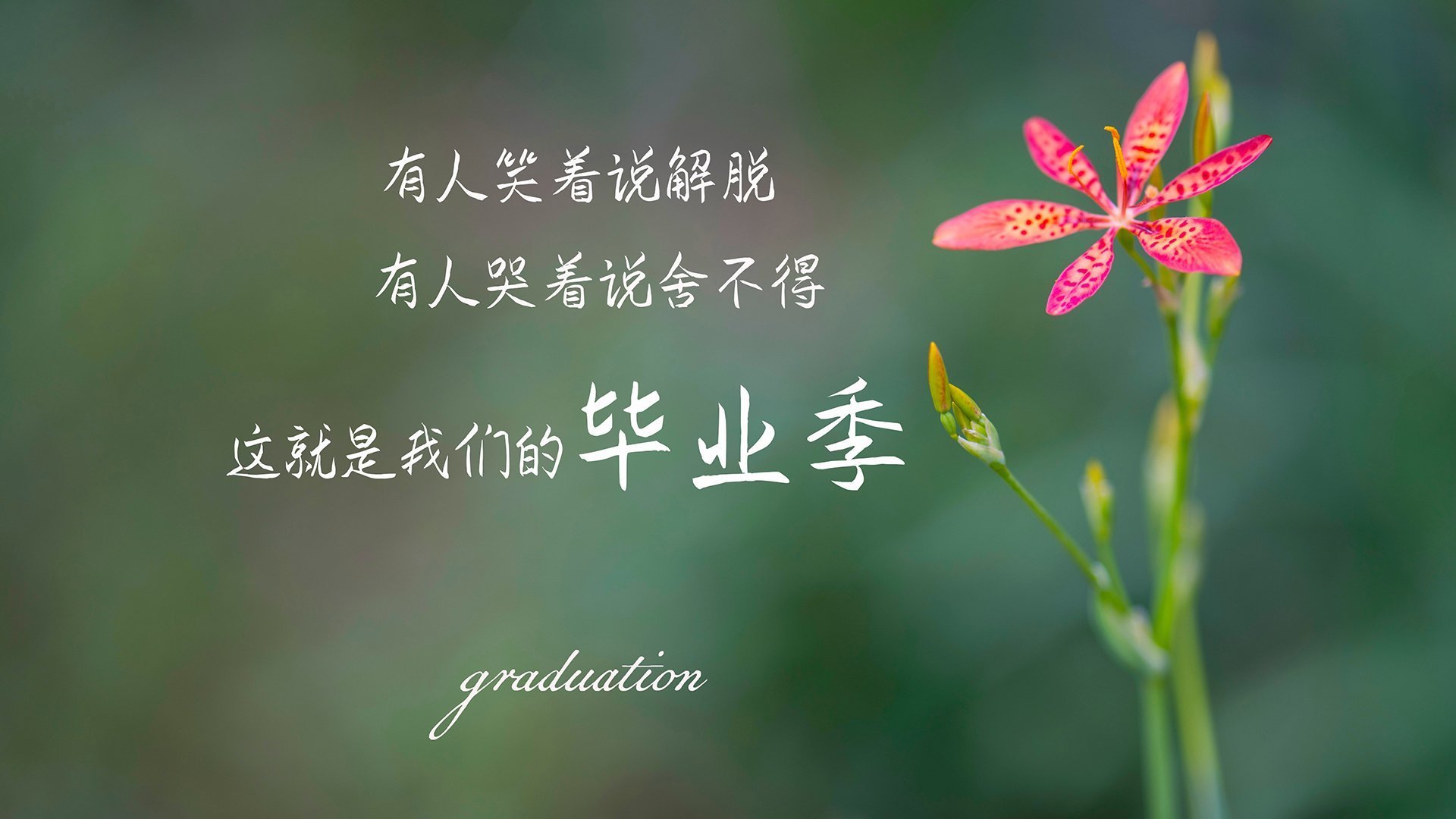 NBA历史经典比赛回顾，nba历史球赛