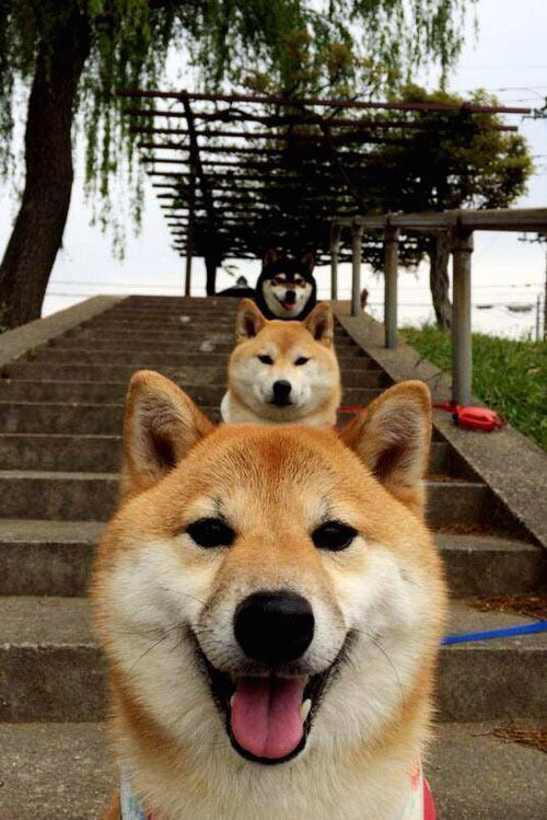 中国篮球青少年篮球训练计划优化方案，中国青少年篮球训练大纲内容