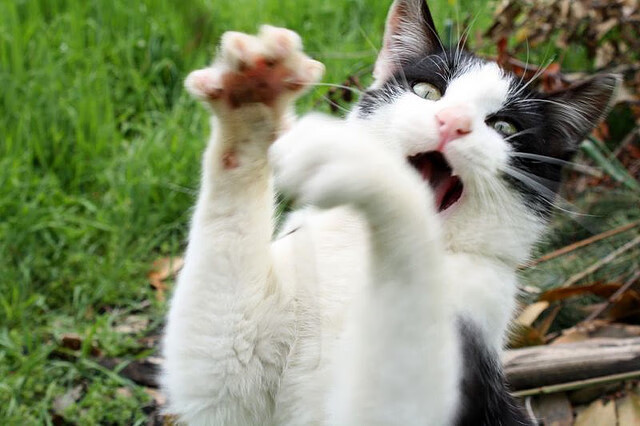 kaiyun体育app-中超球队对外热身赛表现回顾，曝中超热身赛起冲突