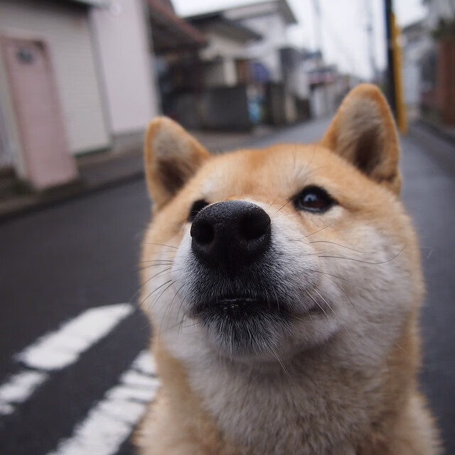 篮球运动员训练负荷科学管理及训练计划调整技术，篮球负重训练
