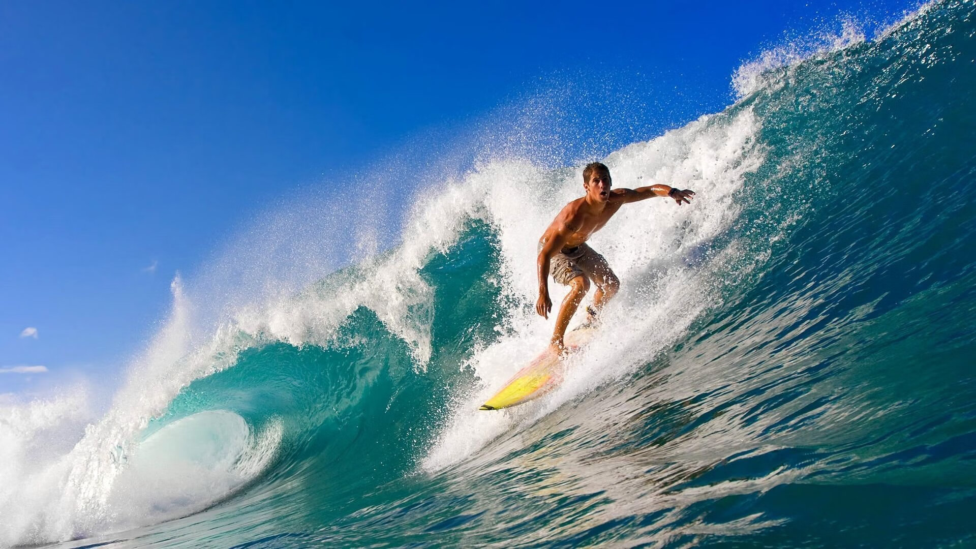 kaiyun官方入口登录-瑞典队未来发展：突破自我，追求更高荣誉，瑞典队出线了吗