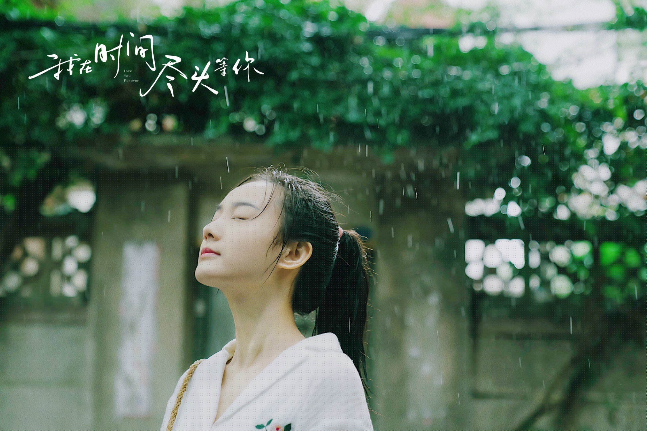 轻艇马拉松人气爆棚,报名即刻秒空,世界陆上赛艇马拉松