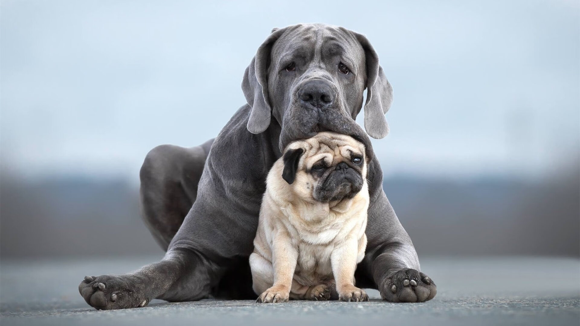 kaiyun官方网站-中国女篮多场热身赛检验阵容磨合程度，中国女篮 热身赛