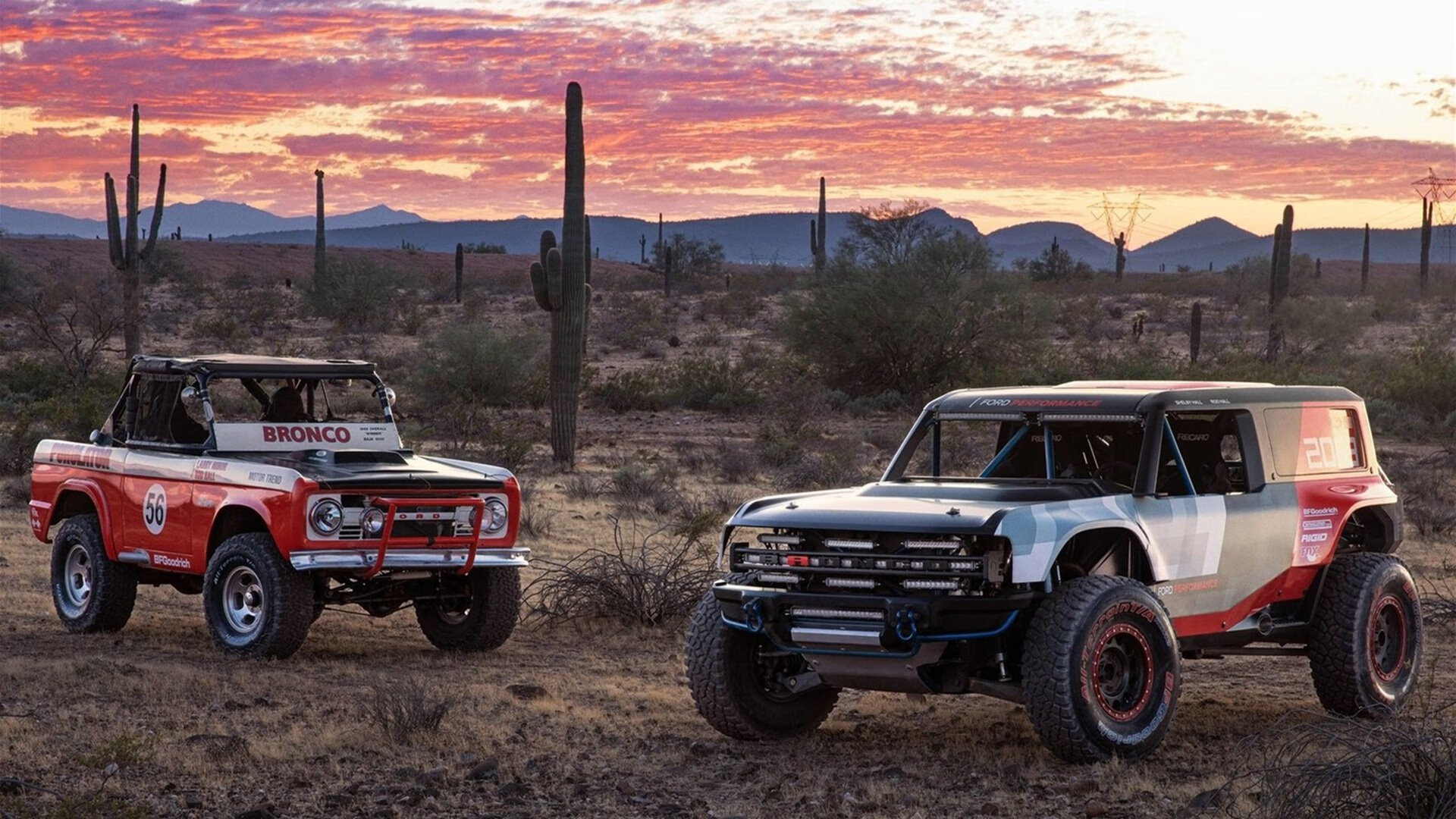 弗朗索瓦·霍尔茨豪伊泽:南非队稳固的战术基石,一次次成功组织进攻