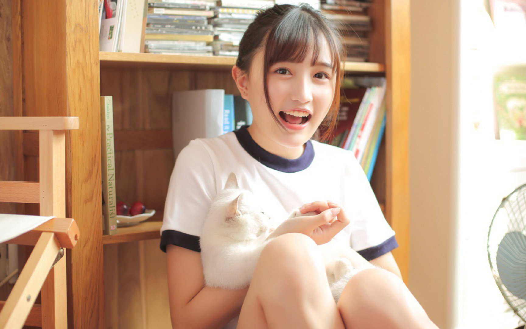 跳水技术稳健突尼斯发挥正常,跳水项目减少