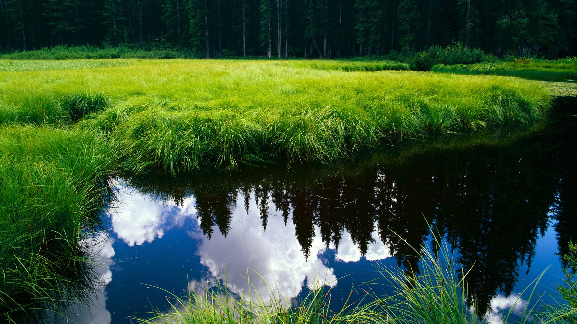 KAIYUN 中国大陆-青训中心设置战术视频复盘角培养自主学习能力，训练营复盘