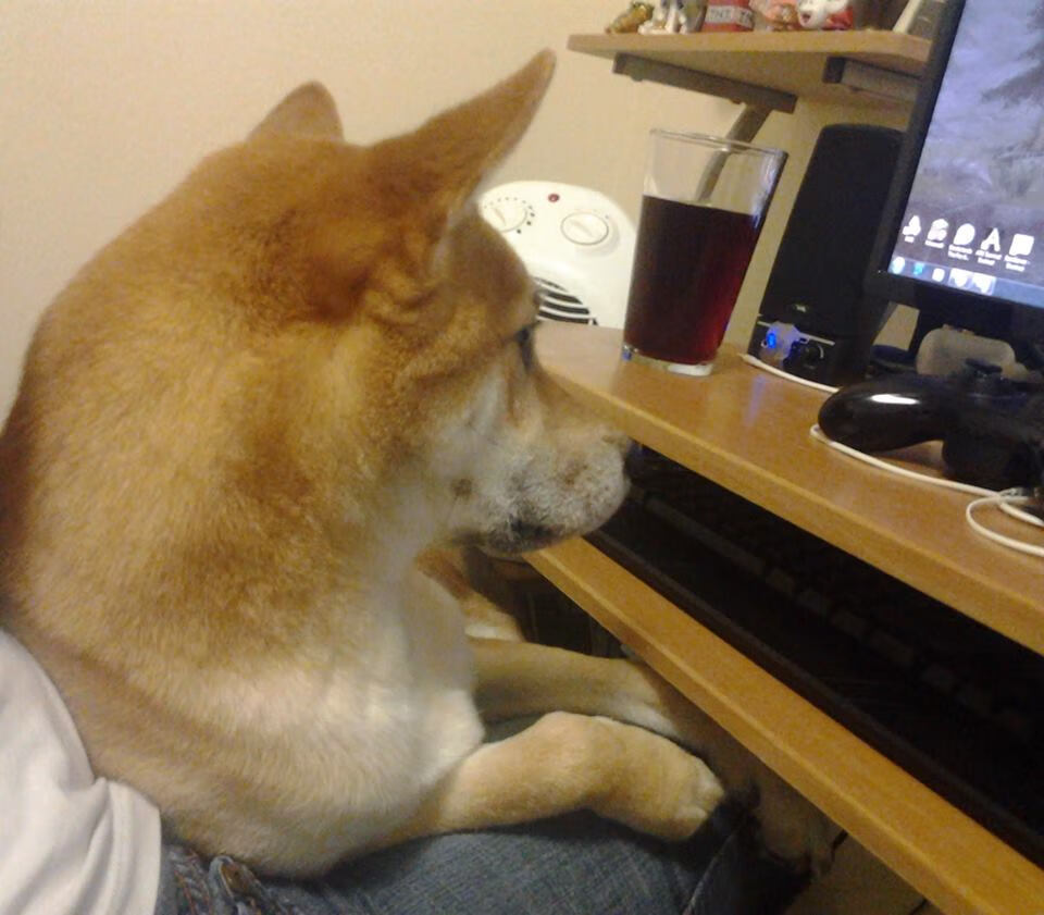 青训中心设置战术视频复盘角培养自主学习能力，训练营复盘